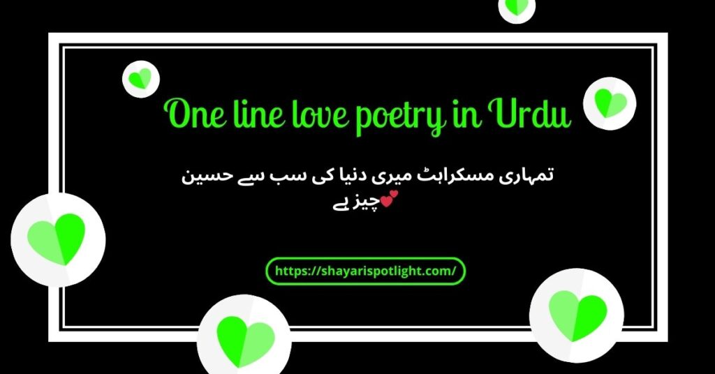 One line love poetry in Urdu