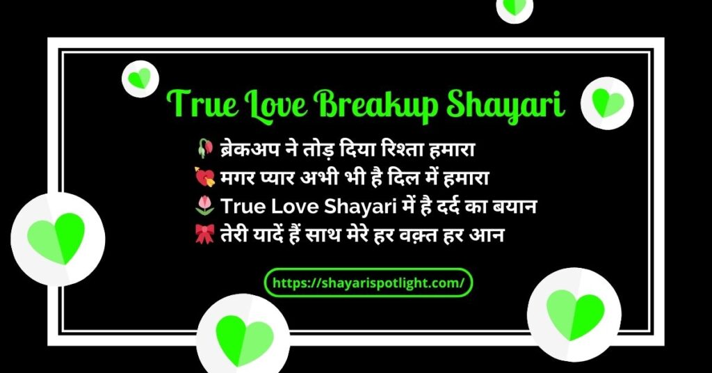 True Love Breakup Shayari