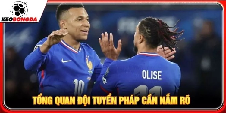 France National Team Complete Guide: Squad, History, and Achievements